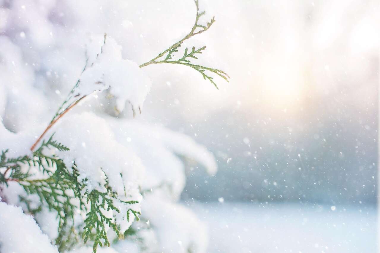 Meteoroloji Uzmanı uyardı! Kar beklenen iller 5