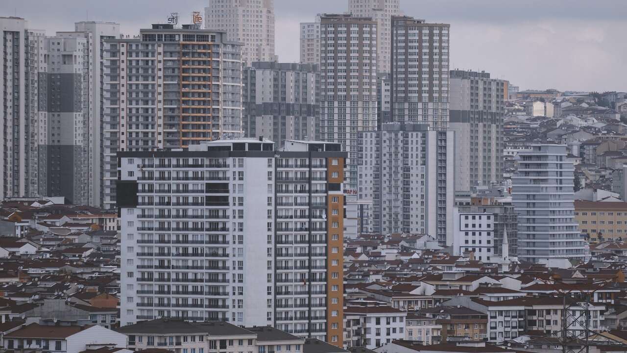 İstanbul’un sokakları kuş isimleriyle cıvıldayan semti