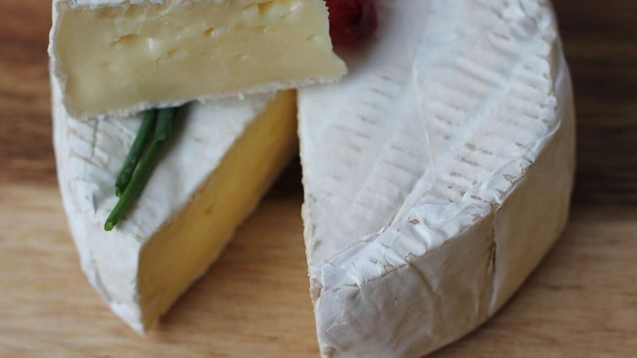 Çok sevilen peynirin satışı yasaklandı! Artık marketlerde bulamayacaksınız