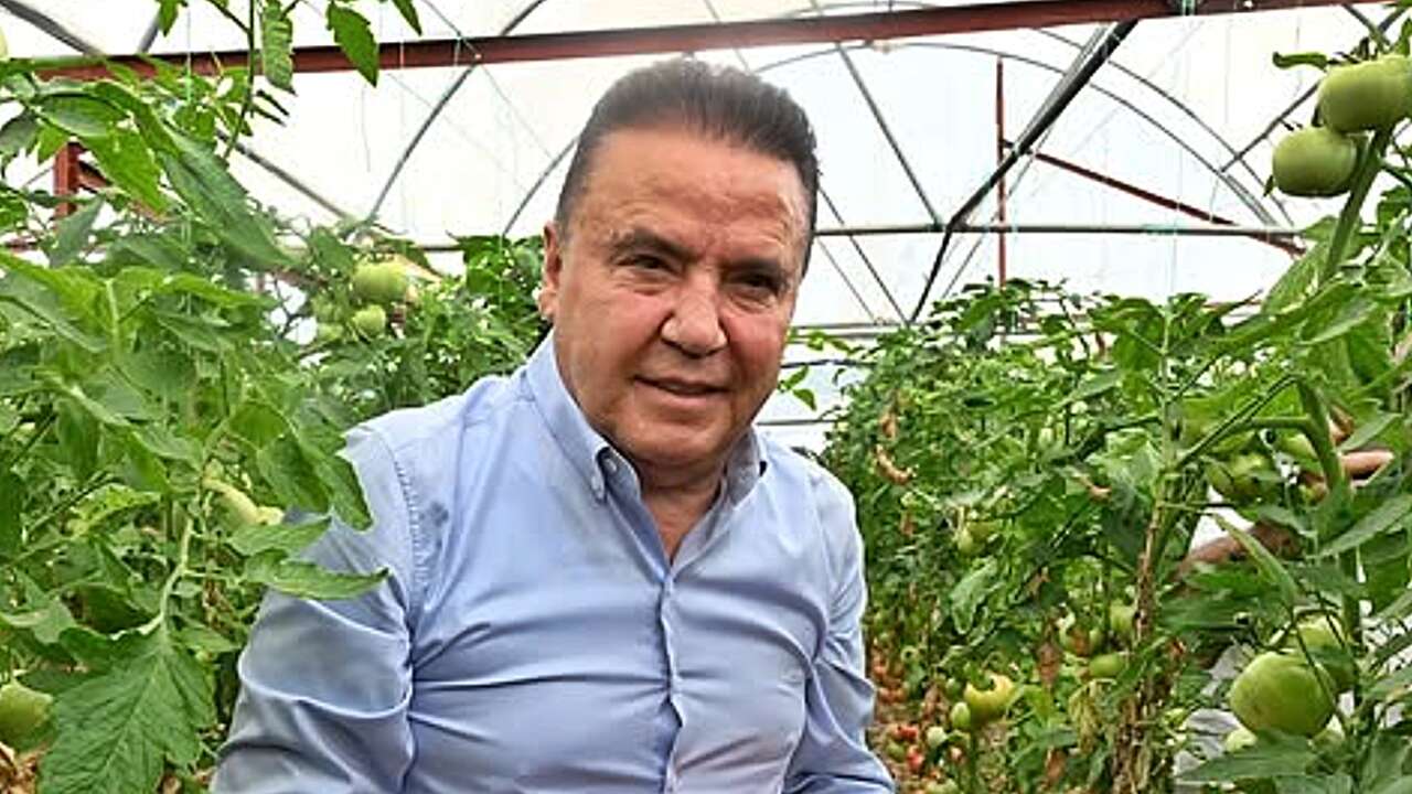 Muhittin Böcek'in şoförleri neden tutuklandı? ''Sadece şoför değiller'' iddiası