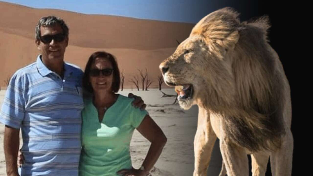 Çöl aslanları ile tanınan iş insanı, aslan saldırısında hayatını kaybetti
