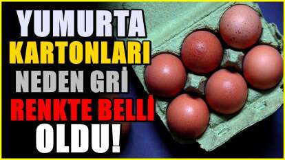 Yumurta kartonları neden gri? Arkasındaki neden şaşırtıyor
