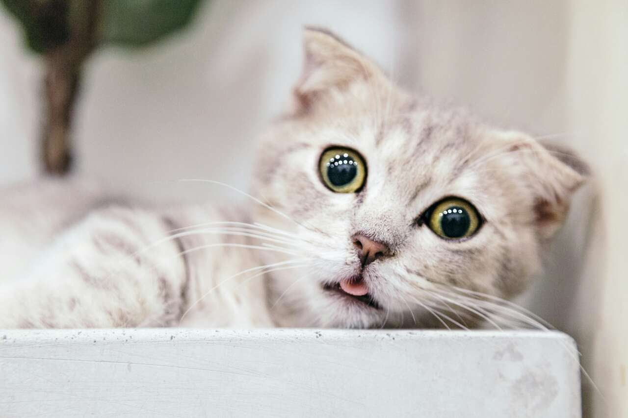 tran-mau-tri-tam-fbhndd1ow2g-unsplash