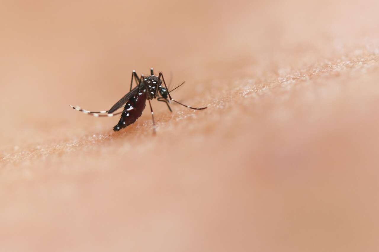 national-institute-of-allergy-and-infectious-diseases-z2pq-4mj6bi-unsplash
